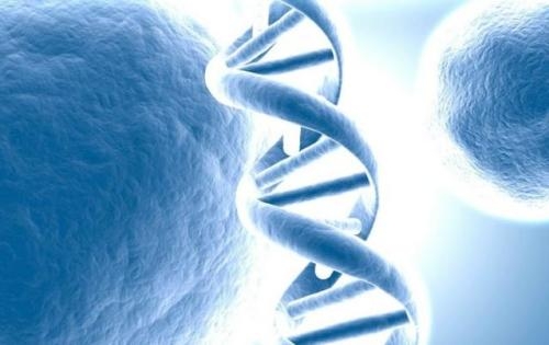 防癌基因检测